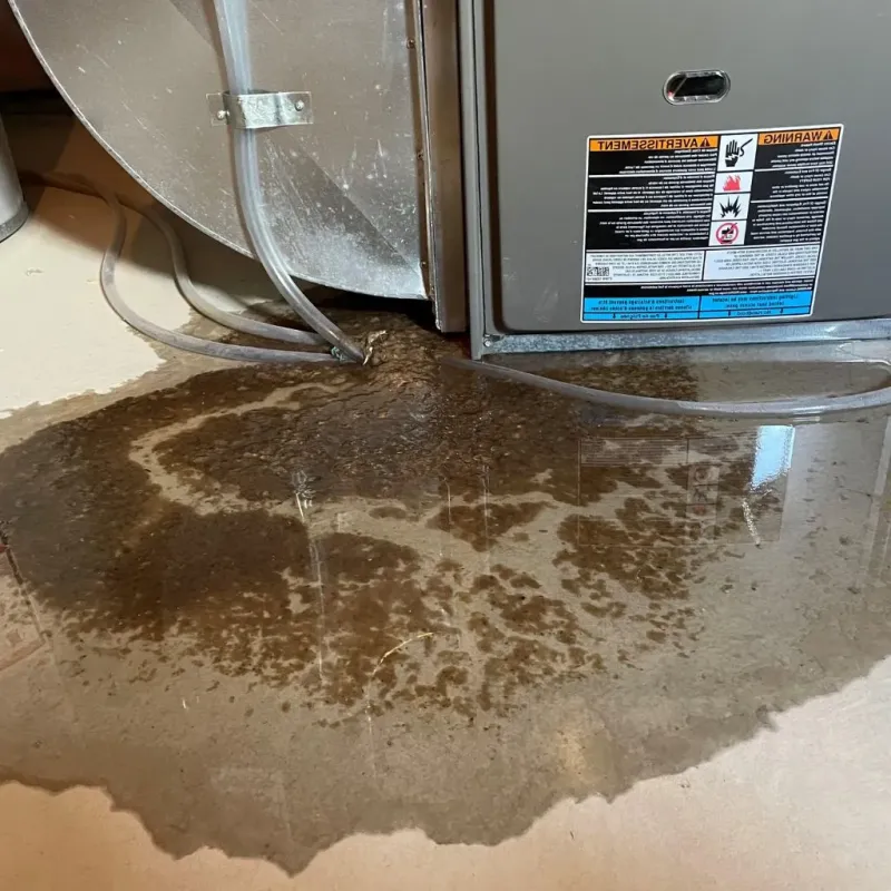 Pipe Burst and Leak Restoration in Okauchee Lake, WI